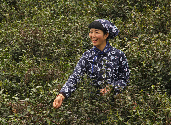 香烟牌
